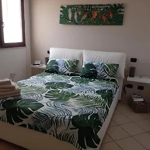 Pura Vida , Quartu SantʼElena Italia